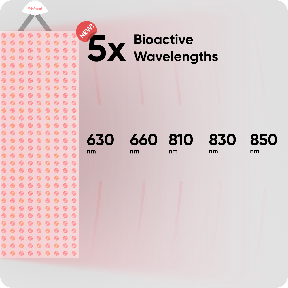 Infraredi Pro Max Plus 2.0 Infraredi