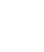 White shield with a checkmark inside on a transparent background.
