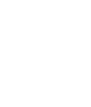 White shield with a checkmark inside on a transparent background.