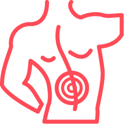 Red outline of an upper torso with a target symbol on the abdomen.